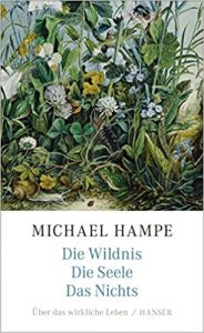 Hampe-Wildnis